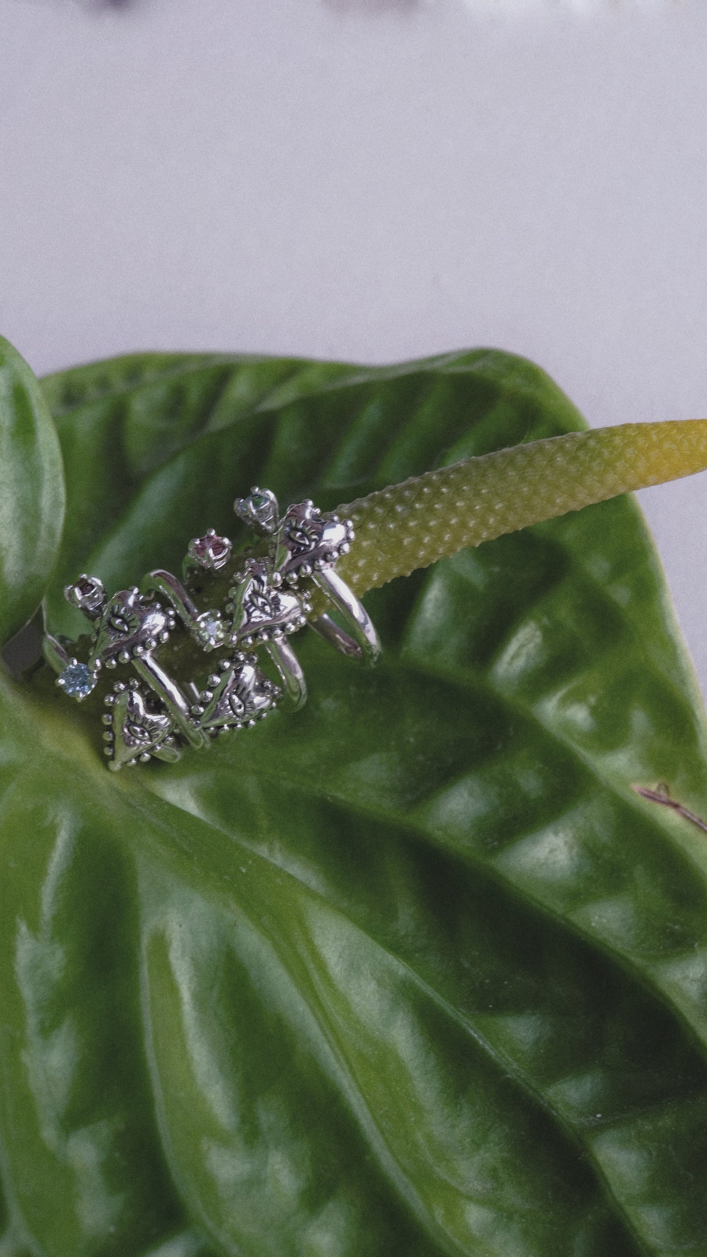 Ring "Pridane"