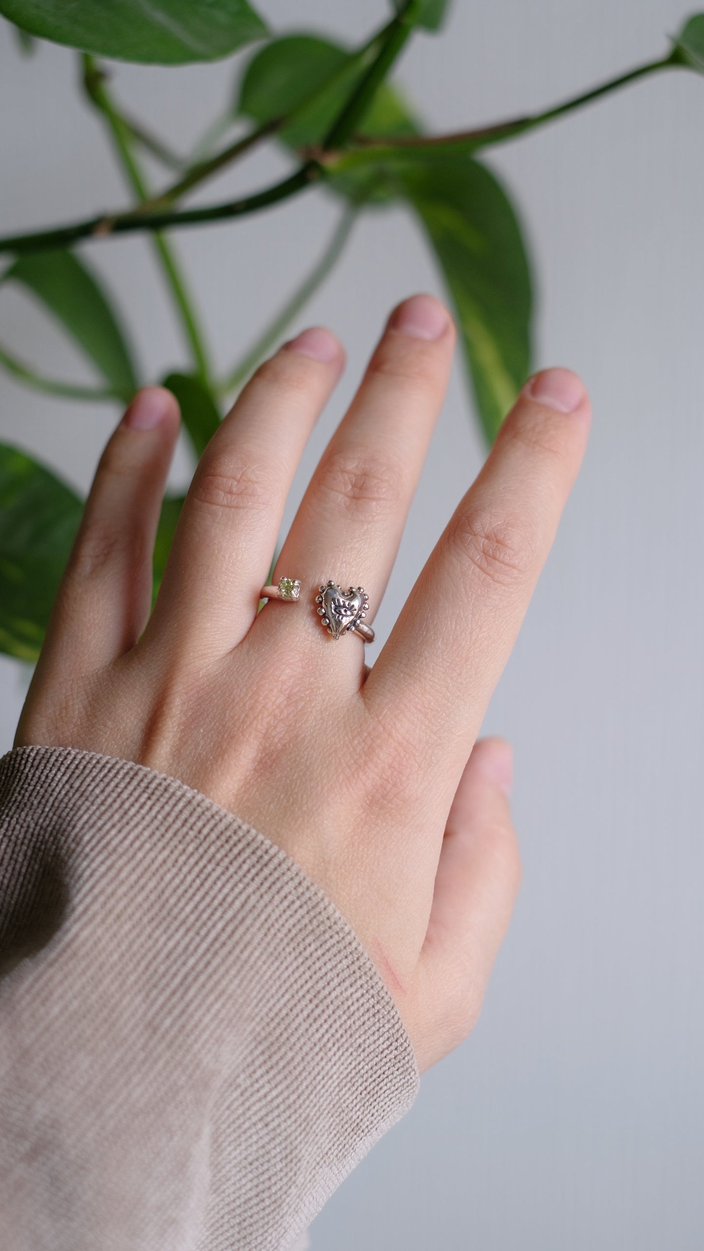 Ring "Pridane"