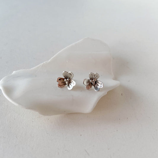A pair of silver earrings featuring a floral design, displayed on a white shell-like object.