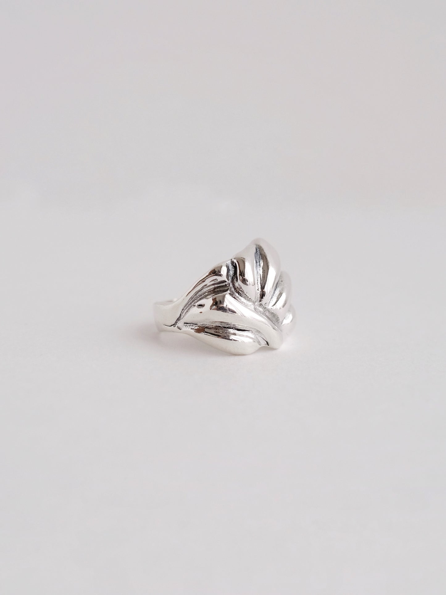 Ring "Hills"