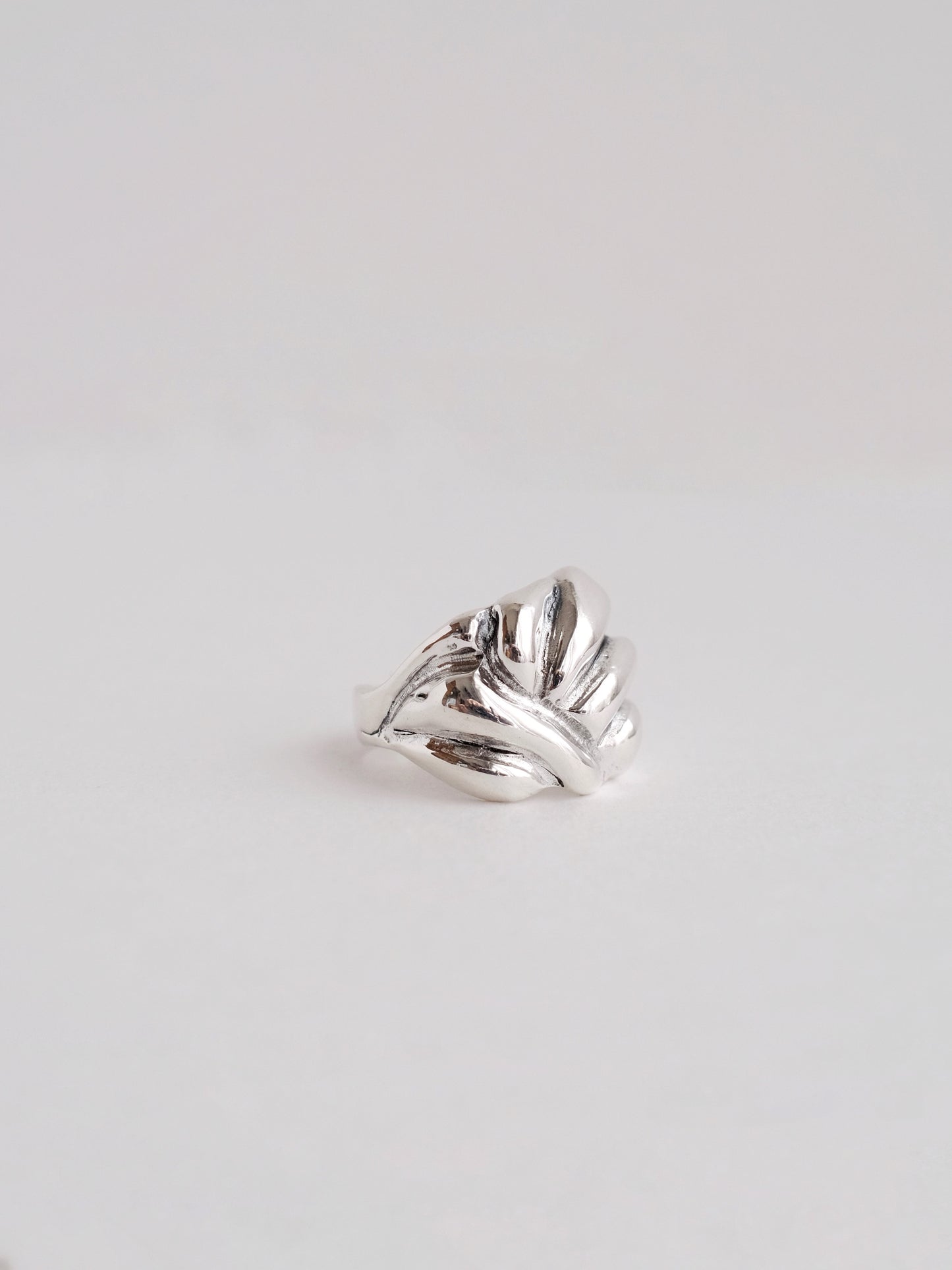 Ring "Hills"