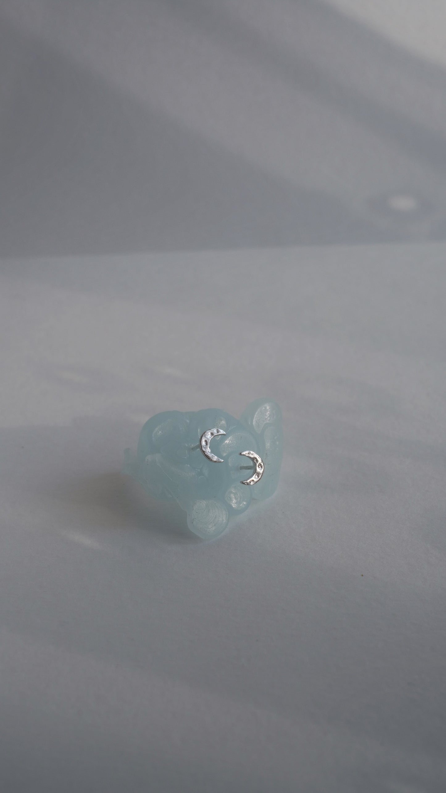 Earrings "Crescent"