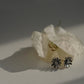 Earrings "The bee will sit"